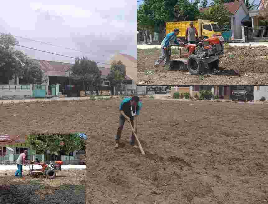 Tingkatkan Ekonomi Kreatif Dimasa Pandemi, Karang Taruna Ceria Bercocok Tanam