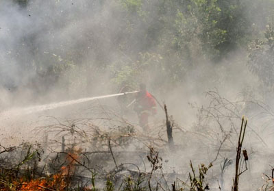 Kamis Pagi, Kabut Asap Akibat Karhutla Kembali Selimuti Pekanbaru