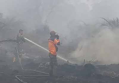 BPBD Inhil Sebut Kebakaran Lahan Meluas, Hari Ini 29 Titik Api Terdeteksi