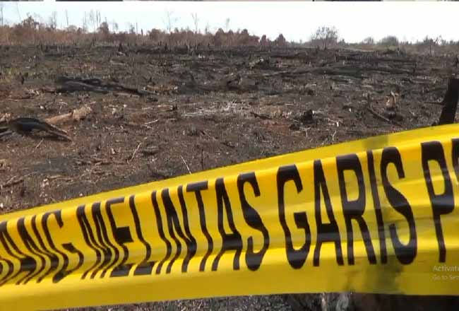 Kasus Karhutla, Polda Riau Tingkatkan Penanganan PT TI ke Tahap Penyidikan
