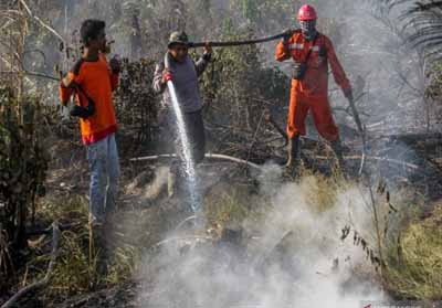 Dua Hektar Lahan Gambut Terbakar di Kampar, Pemadaman Terus Dilakukan