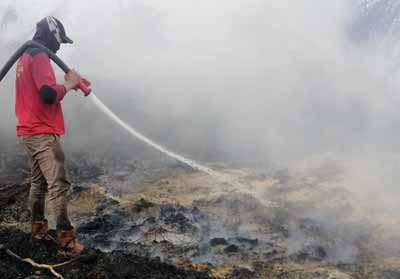 Kebakaran Lahan Gambut Dekat Sumur Minyak BOB BSP, Satgas Karhutla Berusaha Padamkan