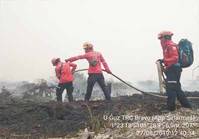Dua Hotspot Terpantau di Riau, Satu Hektar Lahan Gambut di Siak Hangus Terbakar