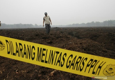 KLHK Segel 52 Perusahaan Penyebab Karhutla