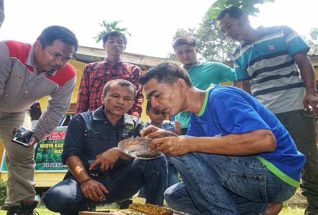 Madu Kelulut Siap Jadi Alternatif Mata Pencaharian Warga Kuansing