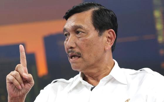 Kritik Keras Luhut Panjaitan Soal Janji Turunkan Harga Beras Dalam Waktu 100 Hari