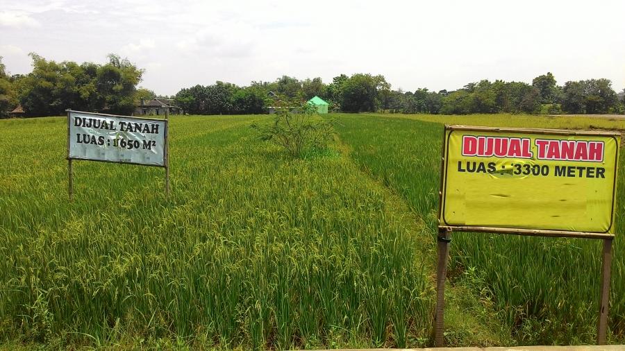Harga Tanah dan Upah di Indonesia Juara di ASEAN