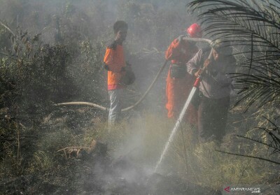 Lokasi Dekat Pekanbaru, Satgas Karhutla Riau Fokus Padamkan Kebakaran di Pelalawan dan Siak