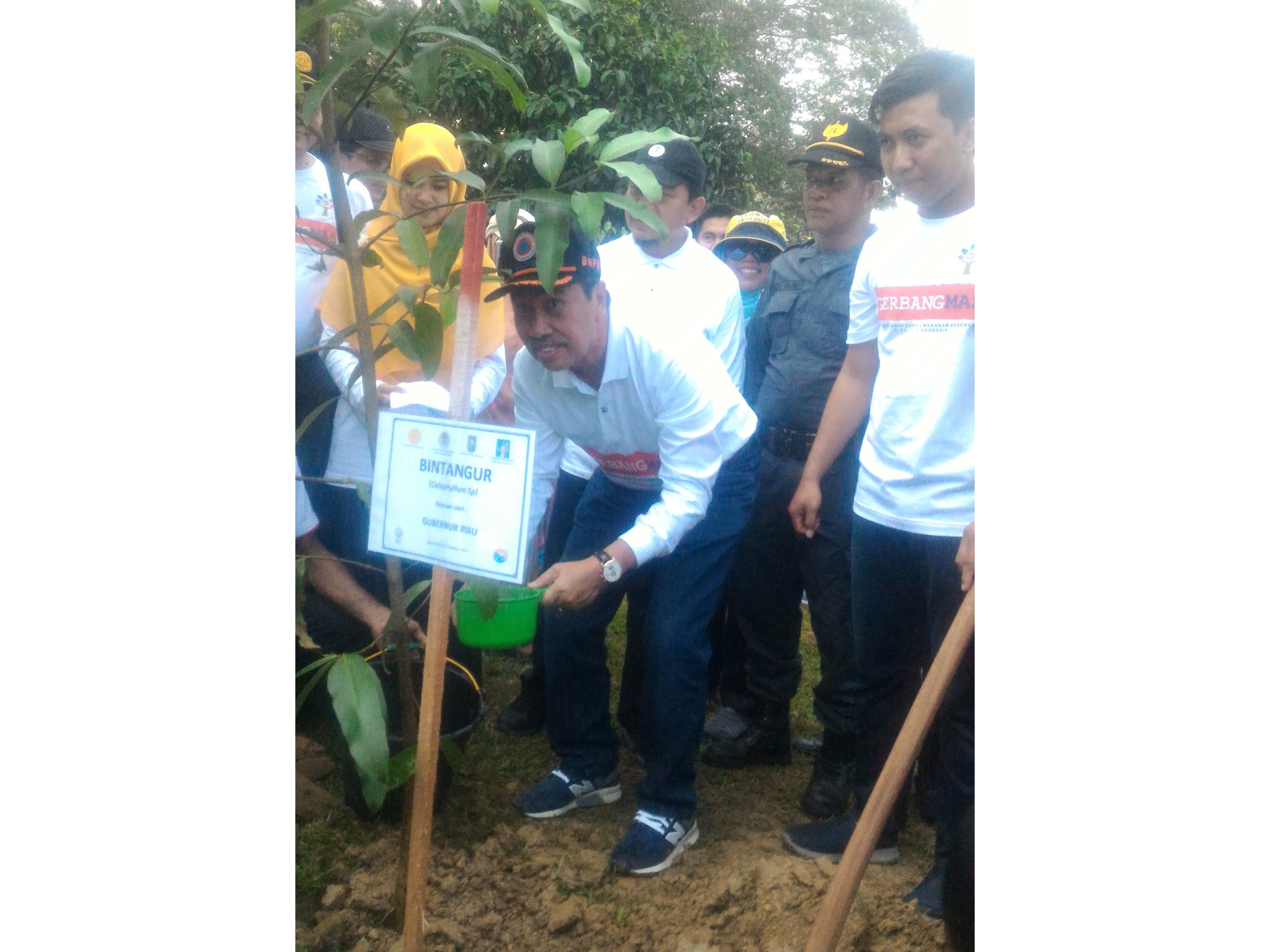 Gubri Syamsuar dan Wagub Tanam 20 Ribu Bibit Pohon di Buluh Cina