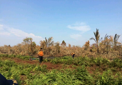 Tim Gabungan Siaga Antisipasi Karhutla di Rangsang, Pendinginan Terus Dilakukan