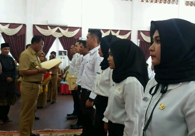 Bupati Rohil Serahkan SK Pengangkatan 228 CPNS
