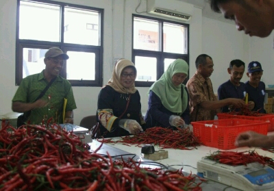 Beri Nilai Tambah, Balitbangtan Latih Petani Cabai
