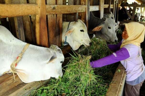 Geliat Pembangunan Desa Lukun, Pemdes Mulai Kembangkan Sejumlah Peluang Usaha BaruÂ 