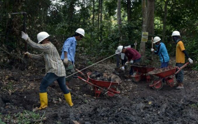 Chevron Tegaskan Komit Tuntaskan Pembersihan Limbah Minyak di Tahura Riau