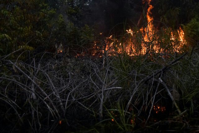 Terdapat Titik Api di Areal Konsesi 5 Perusahaan, Polda Riau Akan Selidiki