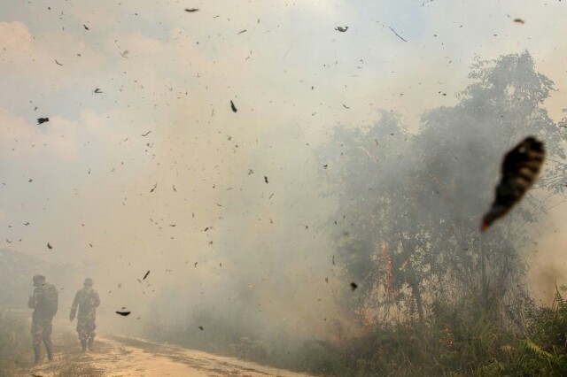 Angin Kencang Jadi Kendala Pemadaman Kebakaran Lahan di Inhil