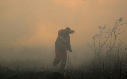 BNPN Sebut Asap Karhutla di Sumsel Timbulkan Asap yang Cemari Udara Pekanbaru