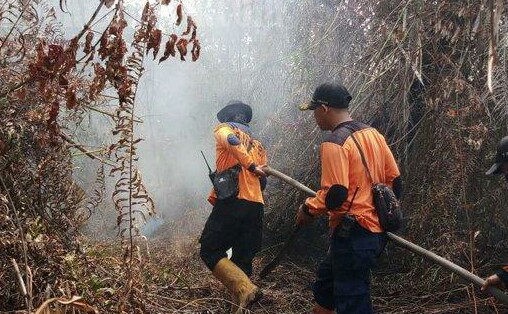 Hari Ini 61 Hotspot Terpantau di Riau, Terbanyak di Pelalawan 32 Titik, Cuaca Cerah Berawan