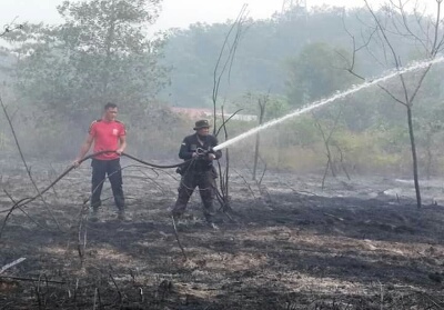 Dampak Asap Karhutla Masih Parah, Kualitas Udara di Pekanbaru Paling Berbahaya di Riau