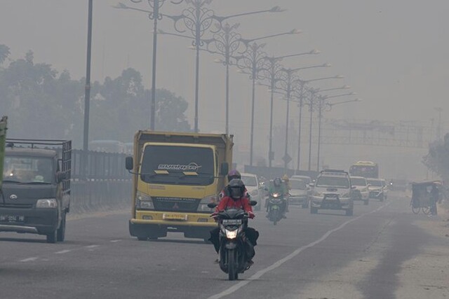 Kebakaran Lahan Gambut di Rimbo Panjang, Asap Pekat Selimuti Jalan Lintas Pekanbaru-Padang