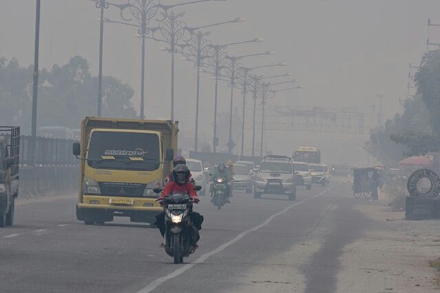 Diskes Riau Investigasi Bayi Meninggal Diduga karena Terpapar Asap
