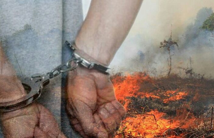 Diduga Bakar Lahan untuk Perluas Kebun Nanas, Kakek 75 Tahun Ditahan Polres Pekanbaru