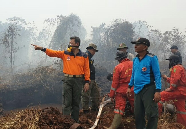 Tim Darat dan Udara Terus Berupaya Padamkan Karhutla di Rimbo Panjang