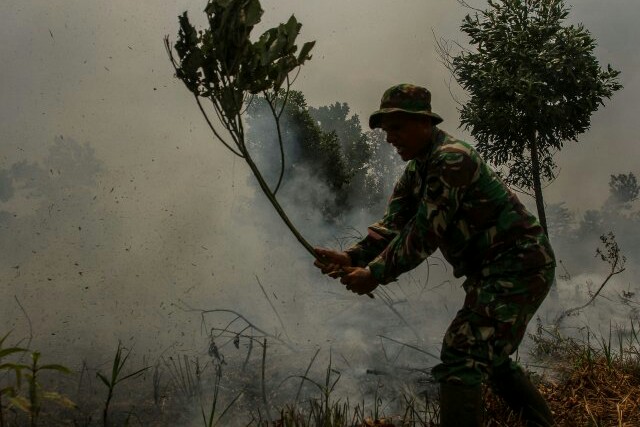 Status Siaga Karhutla Berakhir 31 Oktober, Satgas Nyatakan Tidak Akan Diperpanjang