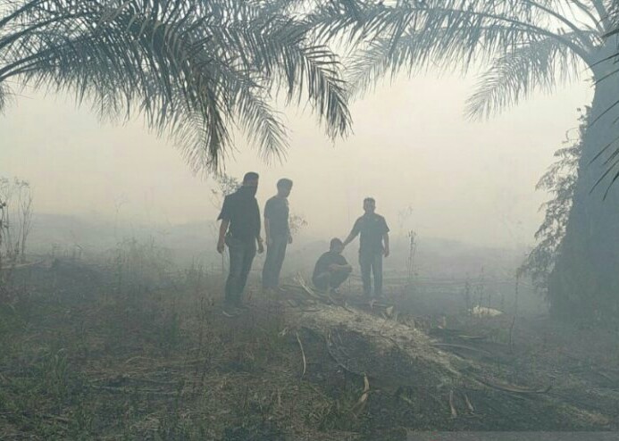 Polres Riau Tangkap Pemuda di Siak Diduga Pelaku Pembakar Lahan untuk Kebun Sawit