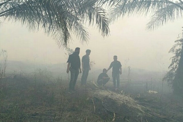 Terbanyak untuk TMC, Karhutla Riau Habiskan Anggaran BNPB Rp468,66 Miliar