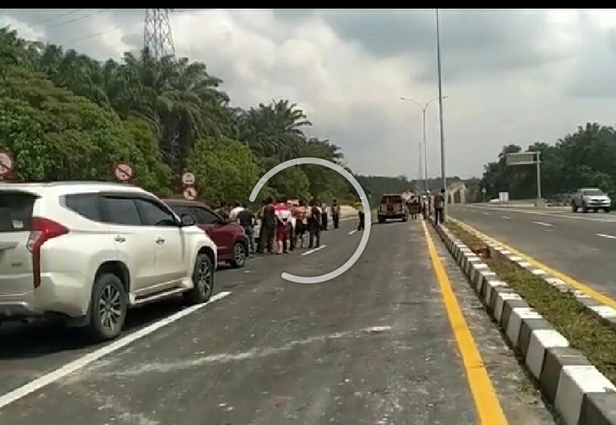 Setelah Dilewati Gubri, Jalan Tol Pekanbaru-Dumai Sempat Ditutup Kembali