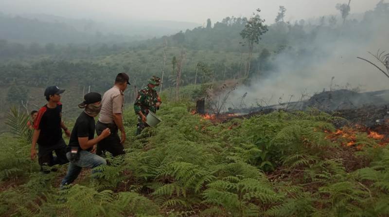 Bau Asap Menyengat,Â BMKG Deteksi 1.362 Hotspot di Sumatera, 151 Titik Kepung Riau