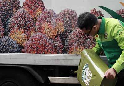 November 2019, Pemerintah Bakal Terapkan Biodiesel 30 Persen pada Minyak Solar