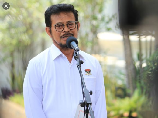  Mentan: Lockdown hambat distribusi pangan 