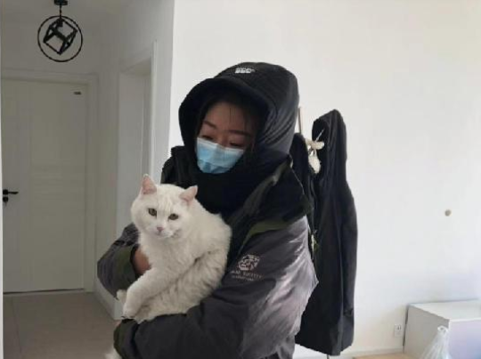 Hati-hati, Virus Corona COVID-19 Sembunyi di Hewan Peliharaan 