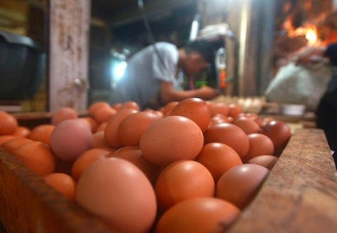 Kementerian Pertanian Prediksi Harga Telur Turun sampai Akhir Februari 