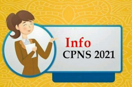 Pemerintah Buka 1,3 Juta Lowongan CPNS Tahun Ini