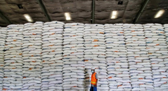 Stok 1,3 Juta Ton, Bulog Jamin Tak Ada Impor Beras 2021 