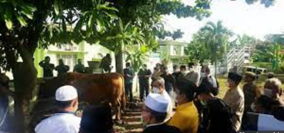 Serahkan Sapi Kurban Presiden, Gubri Doakan Sukses dan Amanah