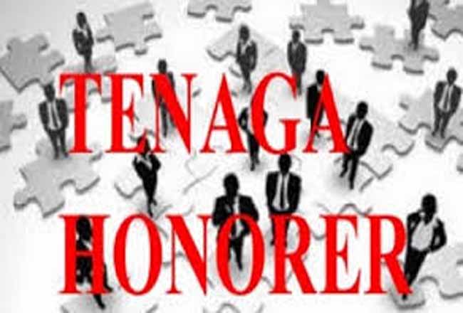 Tjahyo Kumolo Ungkap Sebab Honorer Sulit Diangkat Jadi PNS