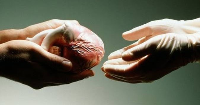 Jokowi Teken PP Larang Jual Beli Organ Tubuh 