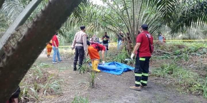 Pamit Beli Paket, Remaja di Siak Ditemukan Tewas Dikubur di Kebun Sawit