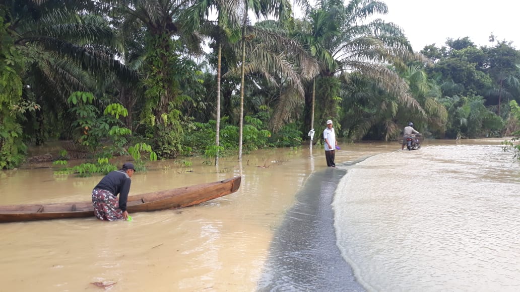 Akibat Hujan Lebat, Beberapa Jalan Penghubung Desa di Wilayah Kampar Kiri Terendam Banjir