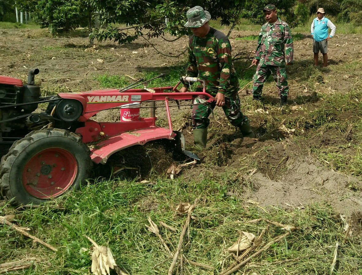 Siapkan Ketahanan Pangan Masyarakat, Babinsa Bantu Warga Tanam Jagung Pipil