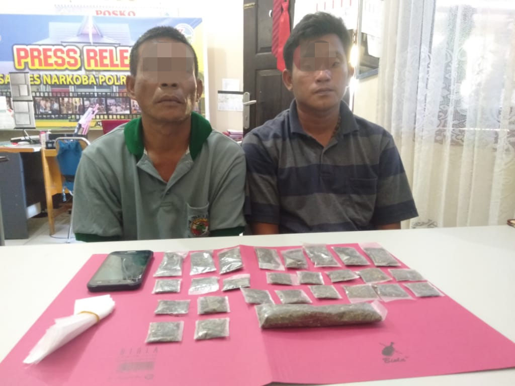 Amankan 783 Gram Ganja, Polres Kampar Tangkap 3 Pengedar Ganja