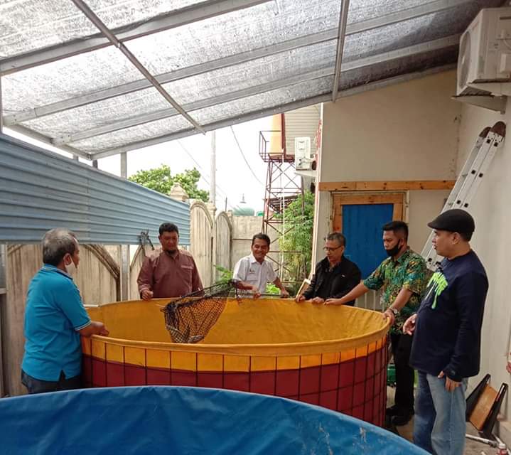 Dorong Perekonomian Wartawan, PWI Riau Buat Budidaya Ikan Kolam Biofloc