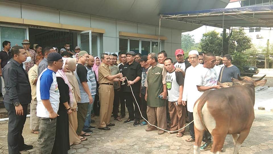 PWI Riau Sembelih 4 Ekor Sapi dan 4 Ekor Kambing pada Idul Adha 1441 Tahun Ini