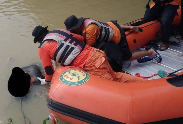 Tenggelam Sabtu, Tubuh Fredi Ditemukan Tim SAR Gabungan Sudah Tak Bernyawa