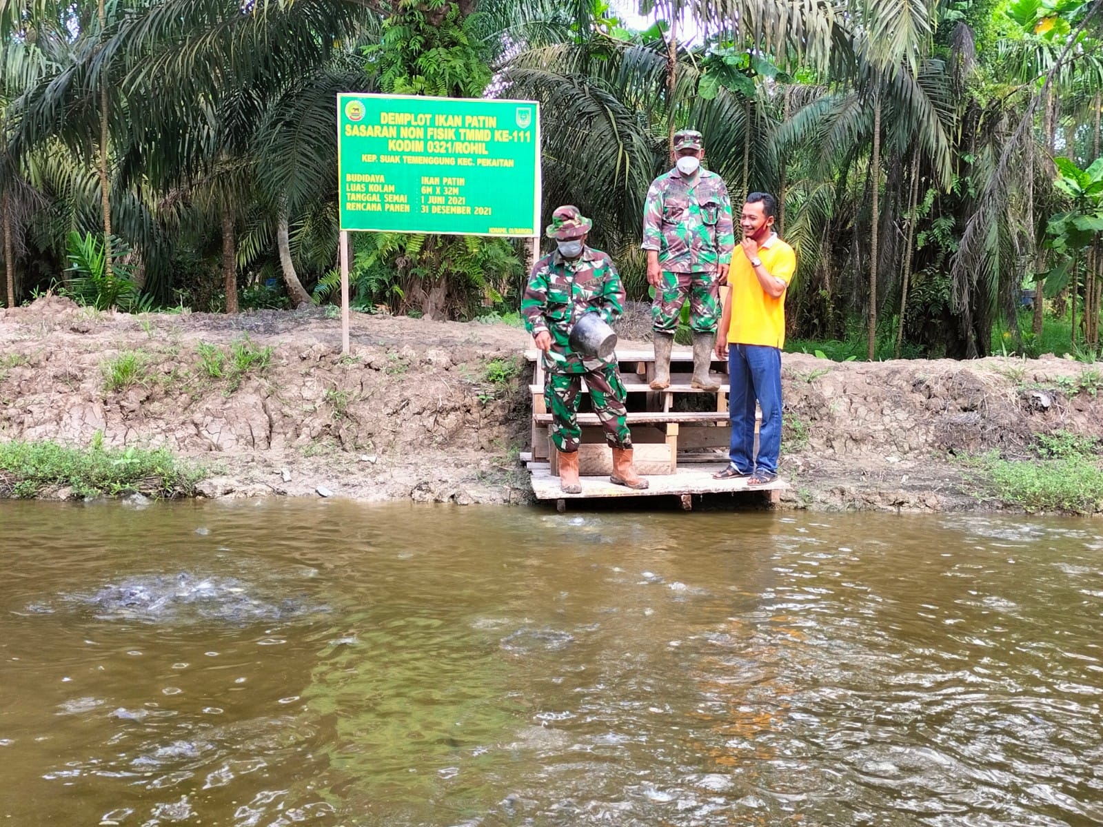 Kasdim 0321/Rohil Tinjau Demplot Budidaya Ikan Patin Program TMMD
