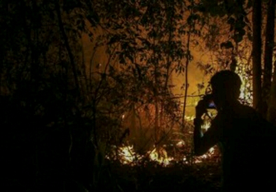 Karhutla di Riau Meluas 2.719 Hektar, Sepekan Terakhir Bertambah 700 H
